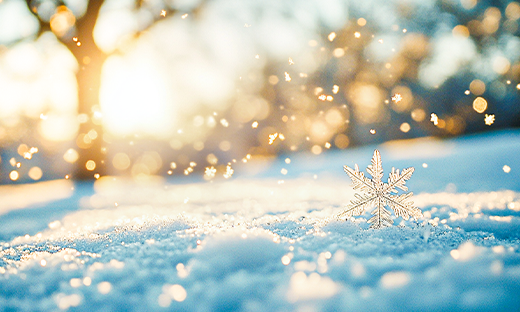 【喜報】中船風(fēng)帆“‘產(chǎn)改’賦能、助工成匠”工作結(jié)碩果